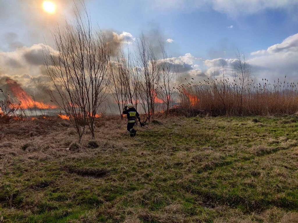 В Днепре вспыхнула сухая трава, пожар чуть не перекинулся на жилые дома