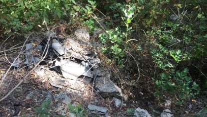 обуховский лес.jpg