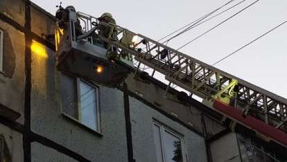 рой диких пчел в днепре.jpg