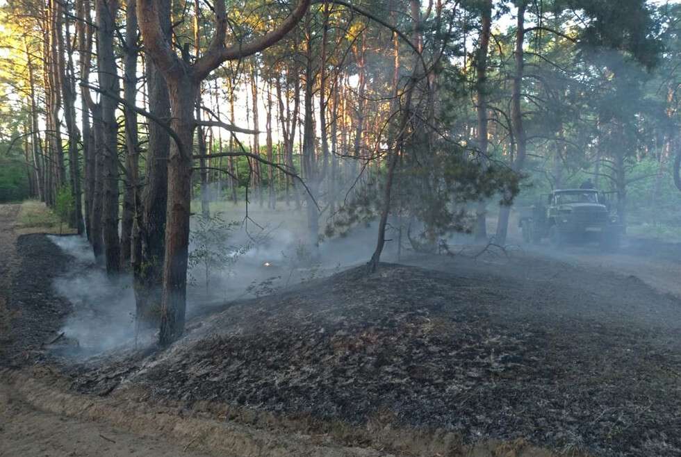 В Днепре спасатели почти два часа тушили лесной пожар .jpg