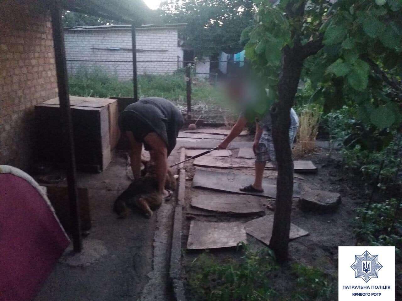 Под Днепром искусанный собственным псом мужчина вызвал полицию.jpg