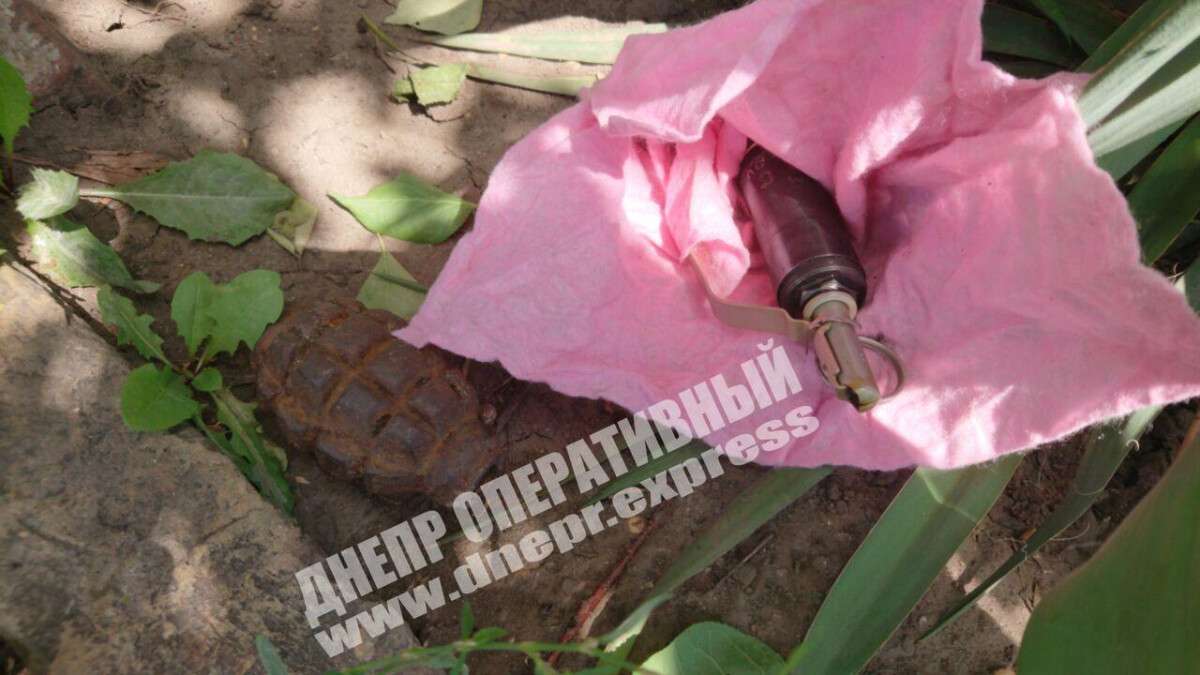 В Днепре возле частного дома нашли современные боеприпасы. Новости Днепра