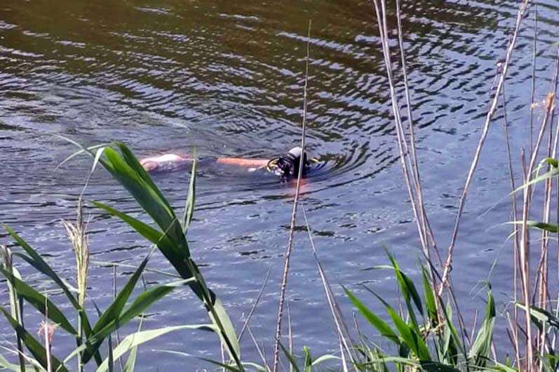 В Днепропетровской области мужчина утонул во время рыбалки: его труп нашли на следующий день, Новости Днепра