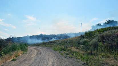 В Днепровском районе произошел пожар на открытой территории.jpg