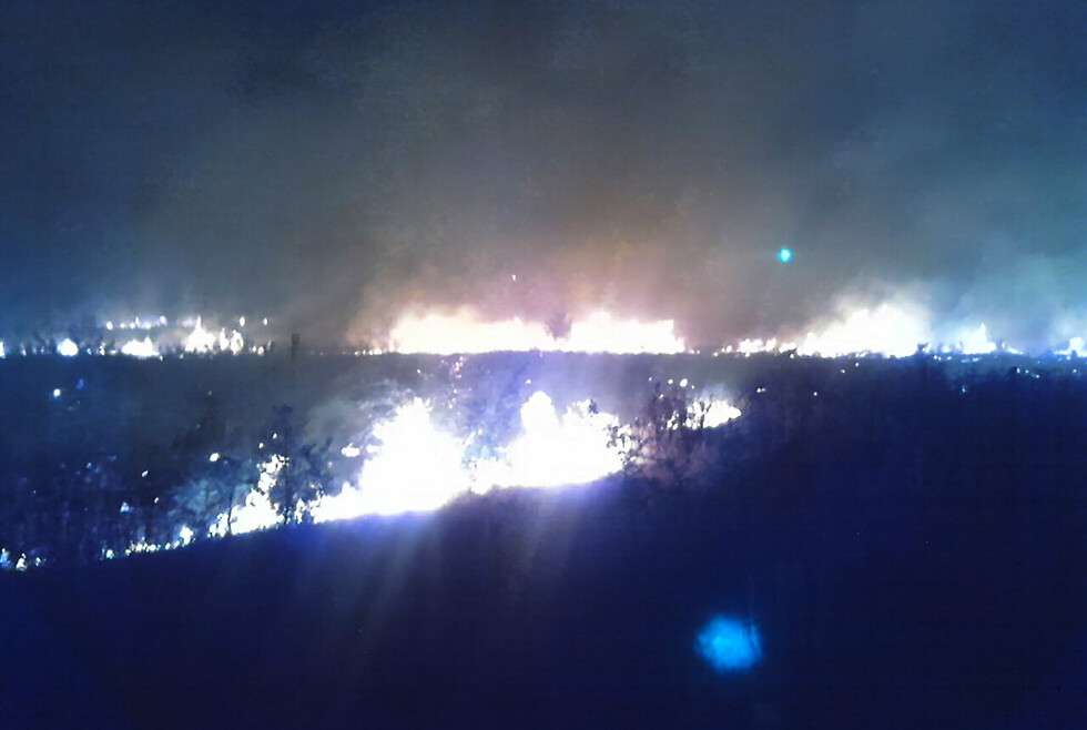Под Днепром вспыхнул масштабный лесной пожар.jpg