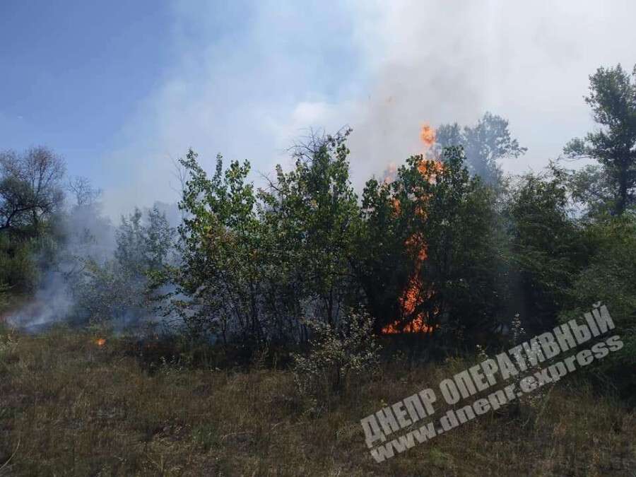 В Днепре на левом берегу загорелся лес, Новости Днепра