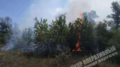 В Днепре на левом берегу загорелся лес, Новости Днепра