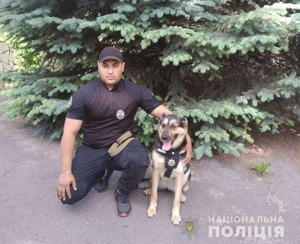 Под Днепром собака Харди помогла найти женщину с годовалым ребенком, которая заблудилась  ночью в лесополосе.jpg