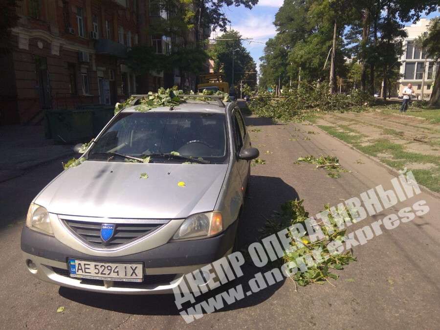 В Днепре на проспекте Пушкина на Dacia упала ветка с дерева, фото. Новости Днепра