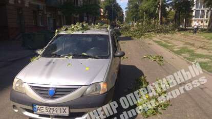 В Днепре на проспекте Пушкина на Dacia упала ветка с дерева, фото. Новости Днепра