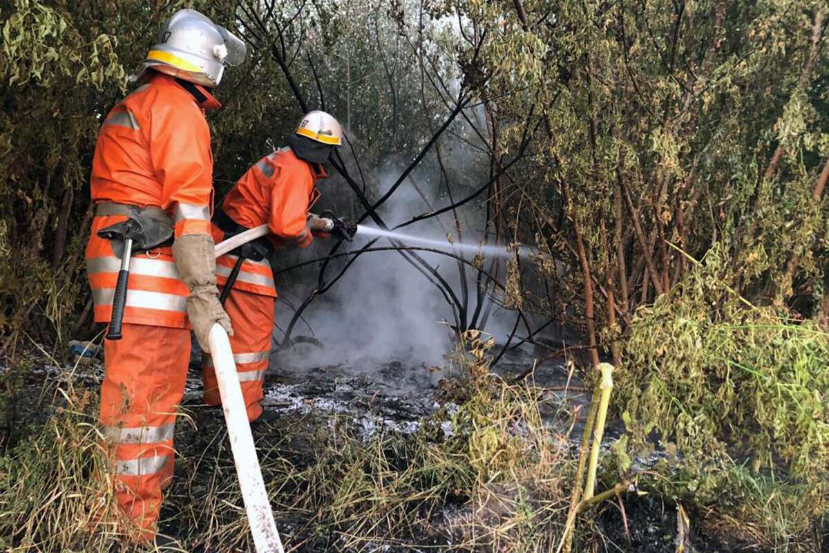 Под Днепром сгорело 2 га травы: пожарные боролись с огнем час (фото)