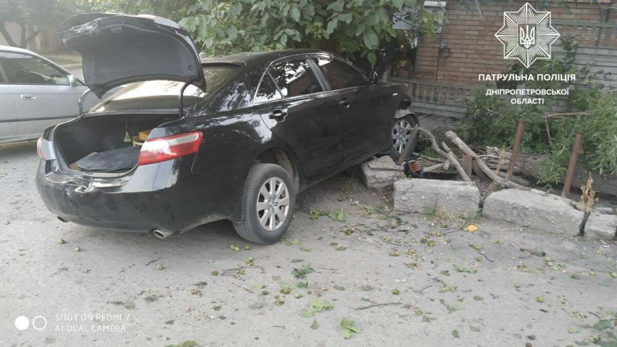 В Днепре водитель Toyota врезался в дерево и сбежал: пострадала пассажирка