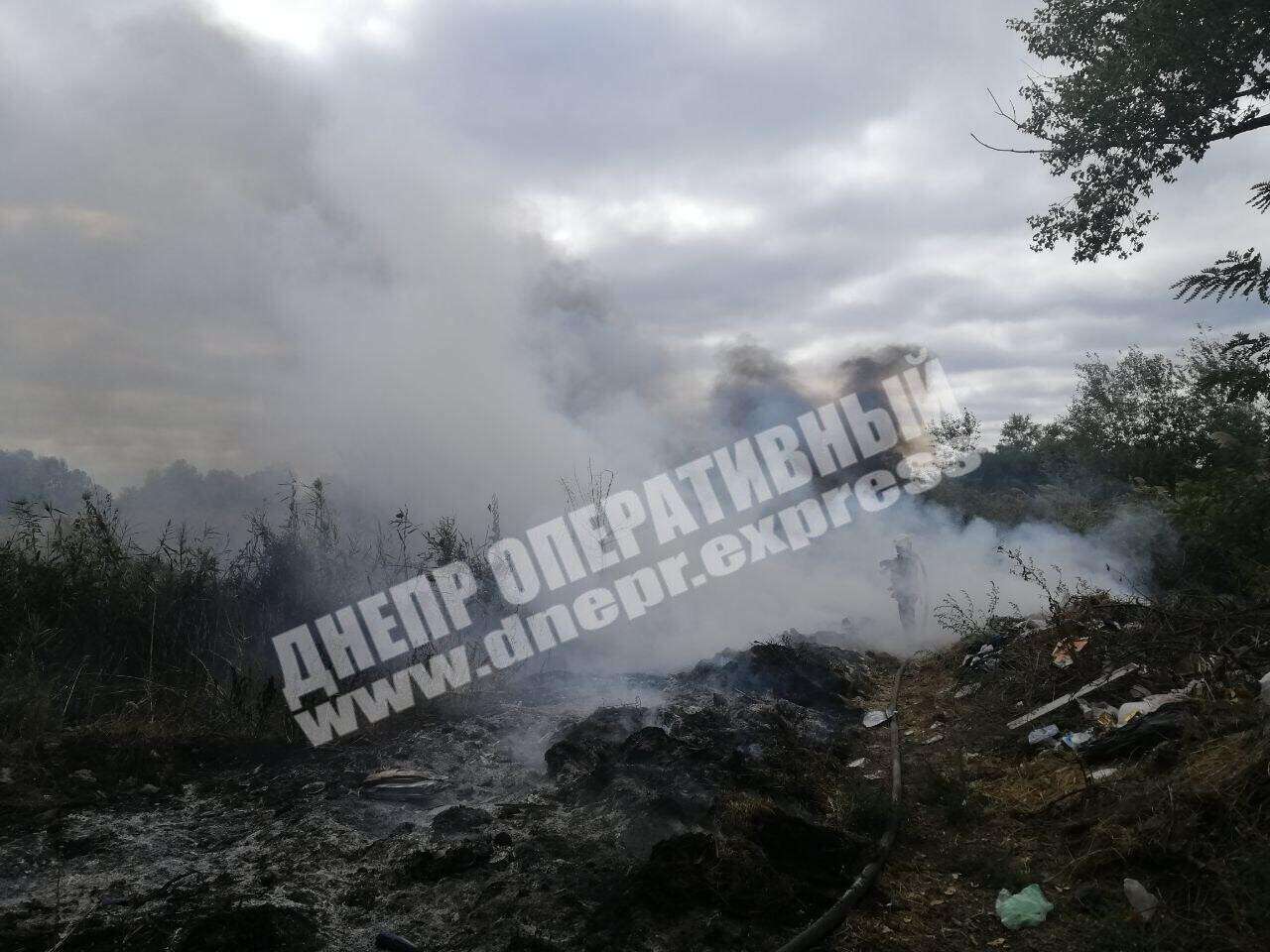 В Днепре случился пожар вблизи частного сектора: фото
