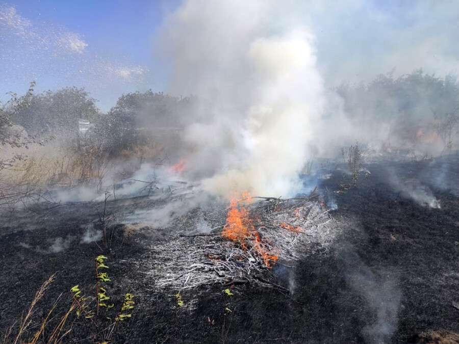 На Днепропетровщине в результате возгорания сухостоя сгорела хозпостройка.jpg