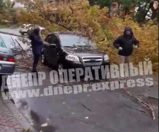 В Днепре на улице Надежды Алексеенко дерево упало на Chevrolet, видео . Новости Днепра