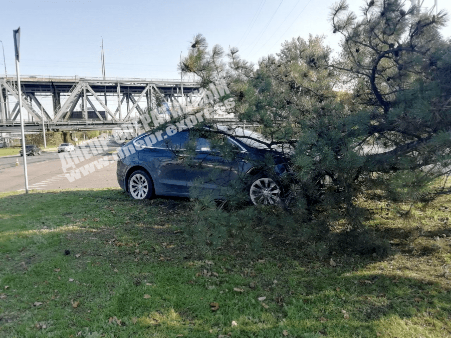 В Днепре возле Речпорта Tesla влетела в дерево