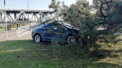 В Днепре возле Речпорта Tesla влетела в дерево