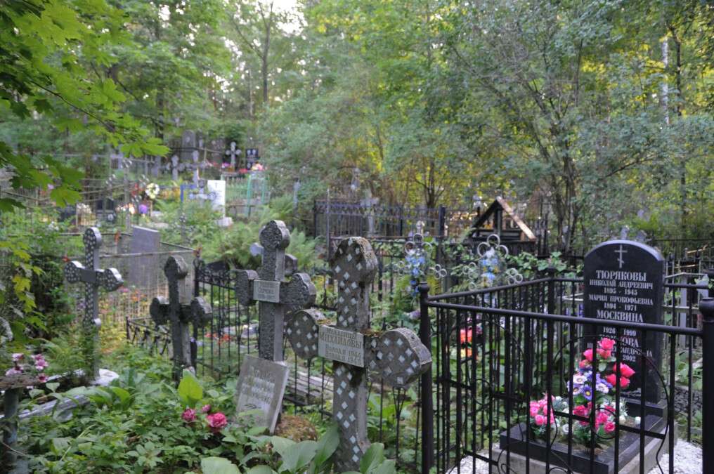 В Днепре с кладбищ воруют венки и даже фотографии похороненных