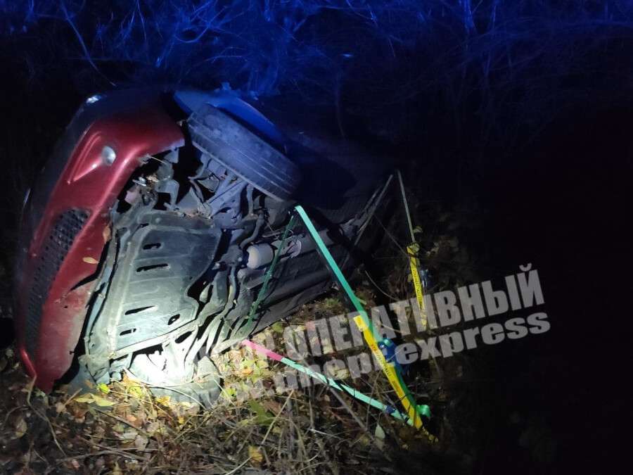 В Днепре Dacia на скорости врезалась в дерево: спасатели доставали водителя из иномарки