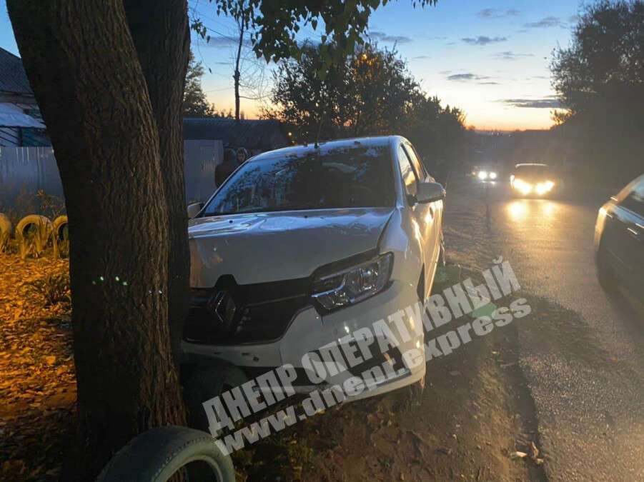 В Днепре на Отечественной таксист за рулем Renault врезался в дерево