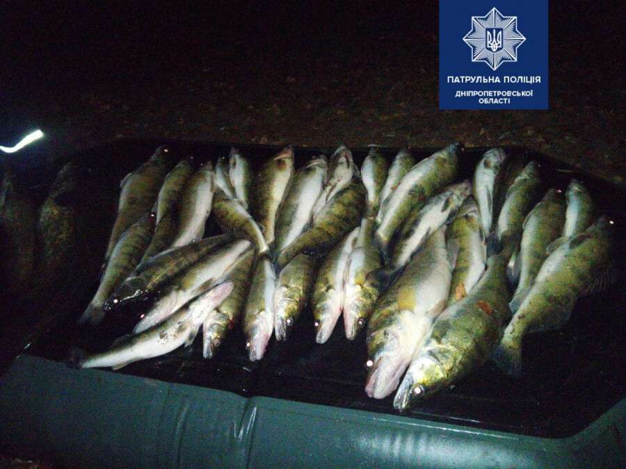 В Днепре полиция поймала аквалангиста-браконьера, который охотился на рыбу с ружьем