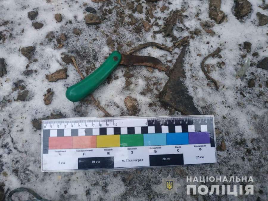 На Днепропетровщине 23-летний парень зарезал односельчанина складным ножом