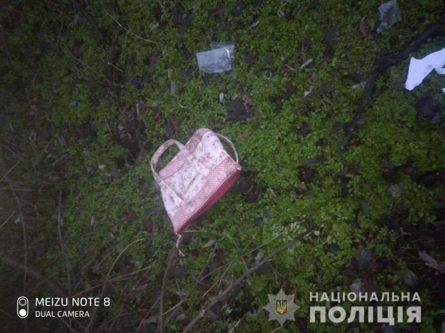 Под Днепром 17-летний парень жестоко избил пенсионерку на улице