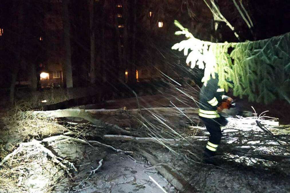 В Днепре на территории детсада дерево упало на провода: фото