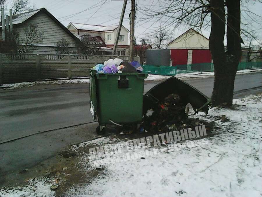 В Днепре на Новошкольной неизвестные подожгли контейнер с мусором: фото