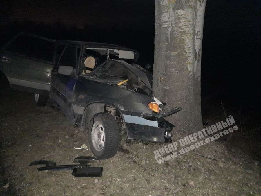 Под Днепром ВАЗ въехал в дерево3