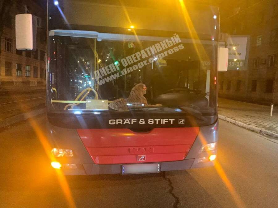 В Днепре на проспекте Гагарина автобус сбил девушку