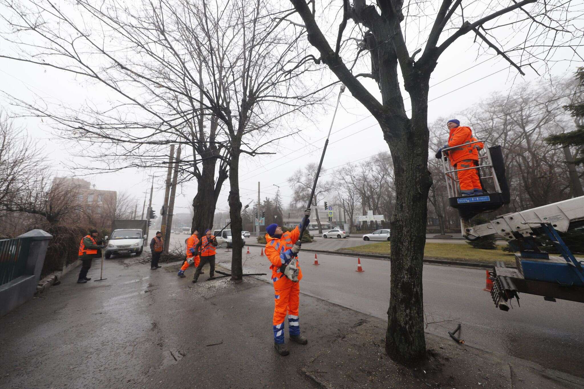 Днепр обрезка деревьев на Гагарина