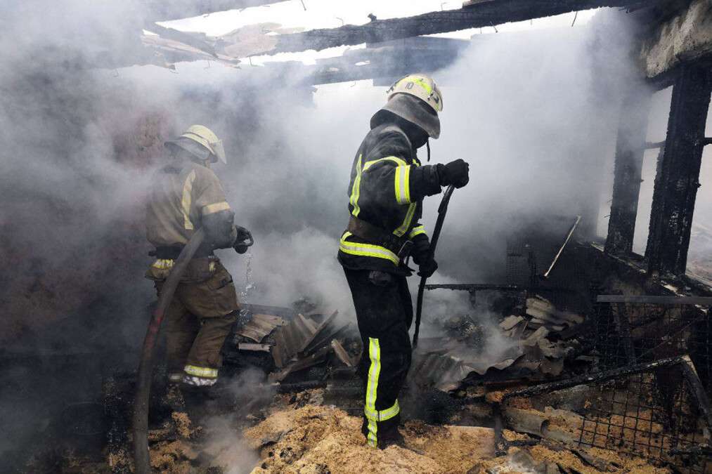 В Кривом Роге в загоревшемся сарае погибли домашние животные
