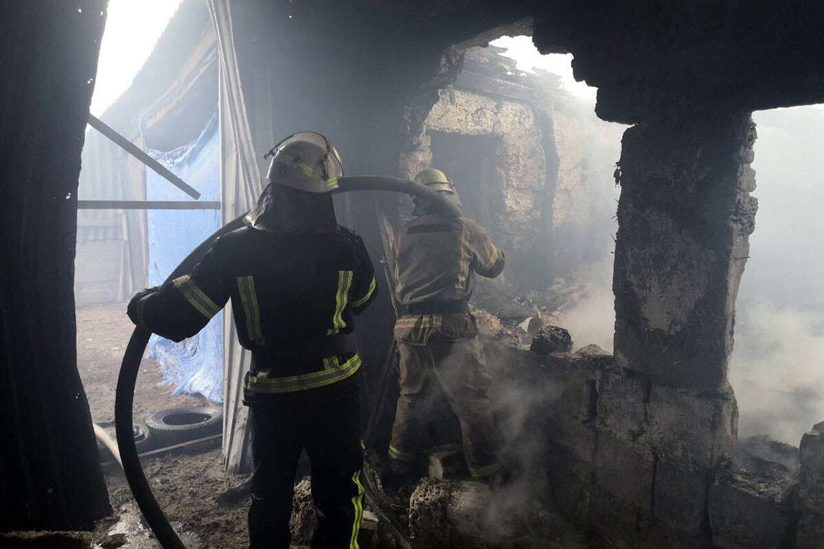 В Кривом Роге в загоревшемся сарае погибли домашние животные. Новости Днепра