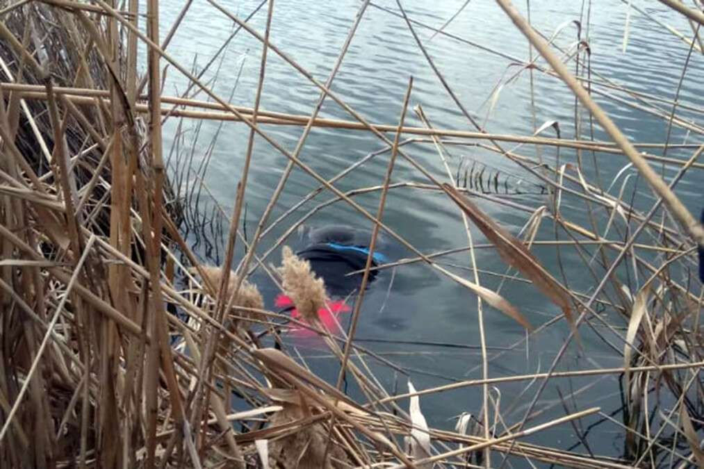 Под Днепром из водоема достали труп пожилой женщины