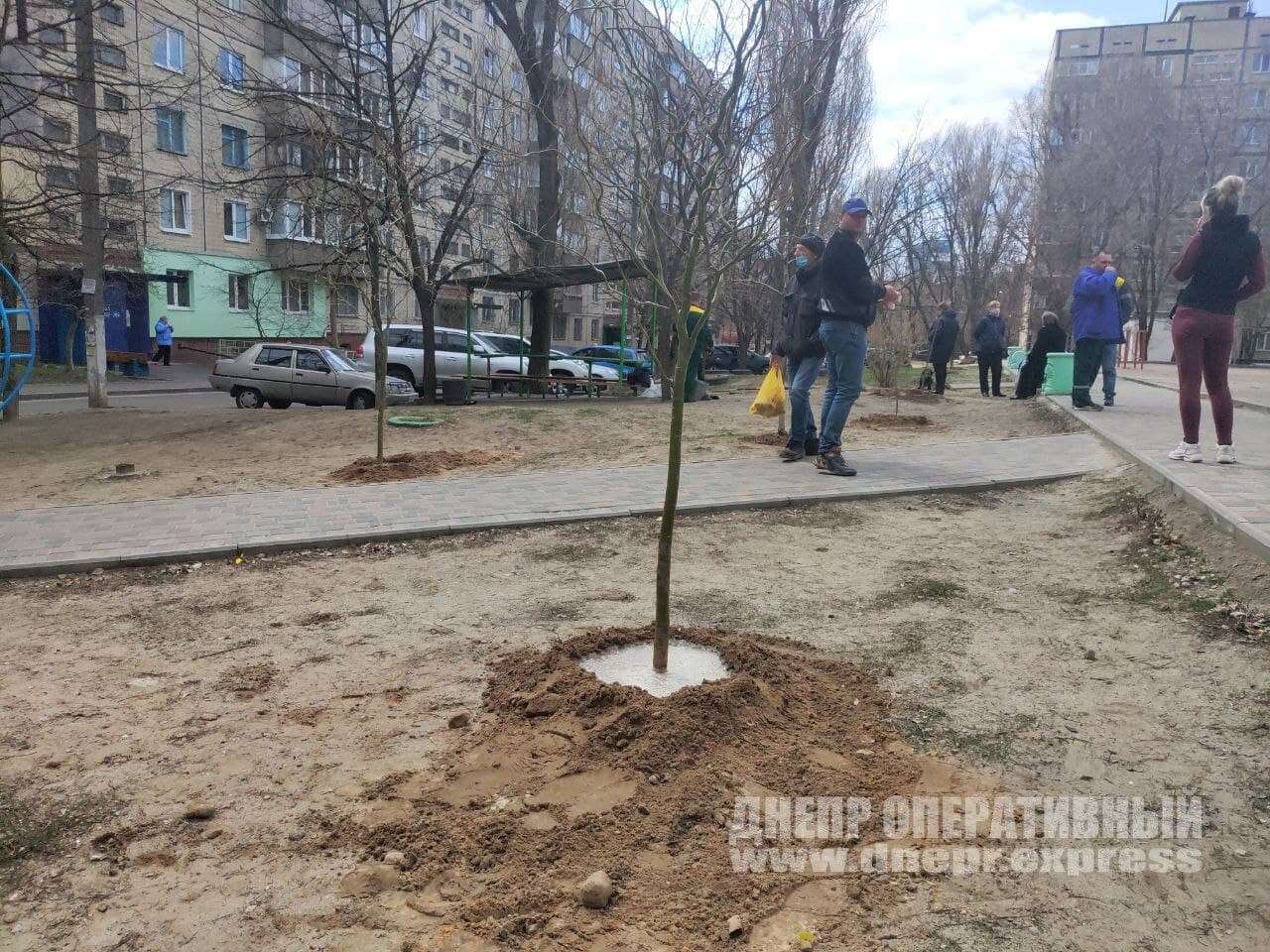 Высадка молодых деревьев в переулке Крушельницкой1