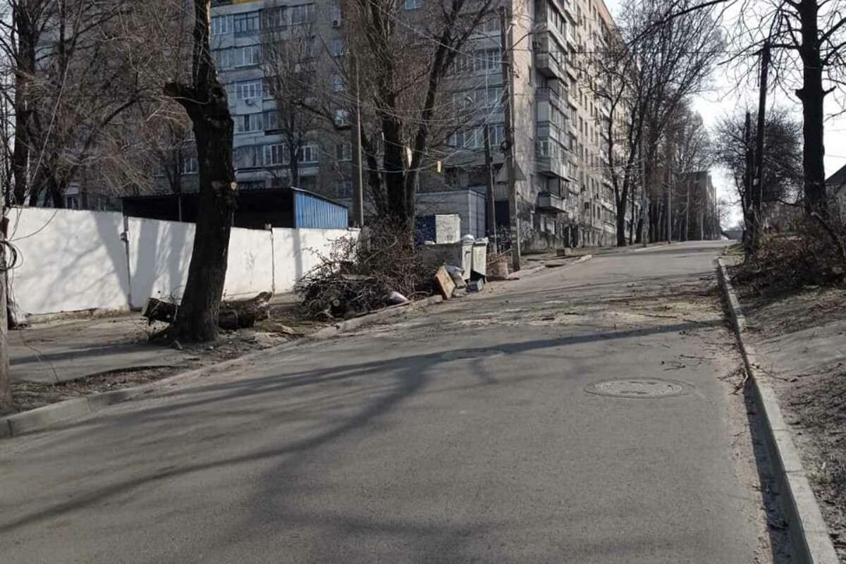 В Днепре на Шепкина упавшее дерево заблокировало проезд автомобилей. Новости Днепра 