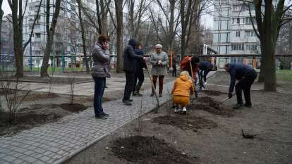 Полсотни кустов высадили у дома на ул. Паникахи