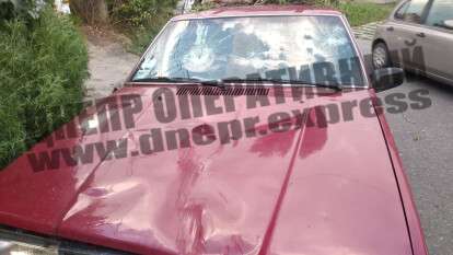 дерево камчатская