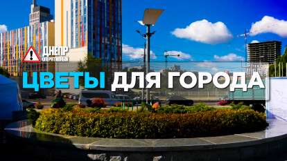 Цветы для города