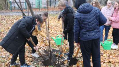 Акция «Обменяй бумагу на дерево»