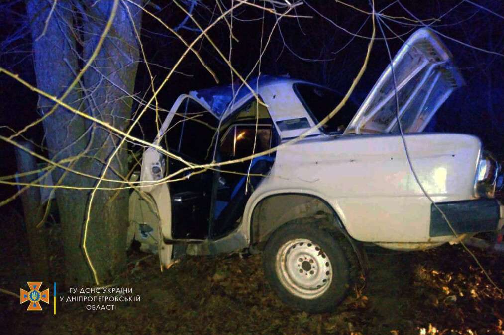 ВАЗ врезался в дерево в Днепровском районе