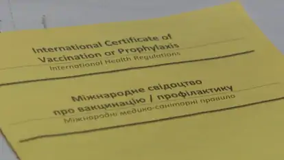 Фальшивый ковид-сертификат