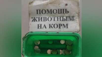 274035003_447284510154357_3686212492552316561_n