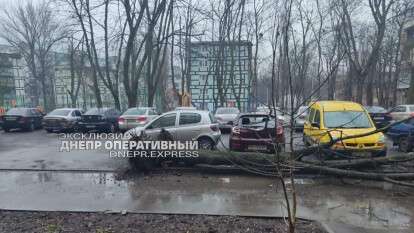 В Днепре на Инженерной упало дерево на машину