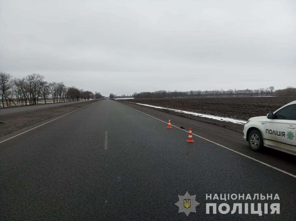 Сбили мужчину на трассе в Днепропетровской области (2)