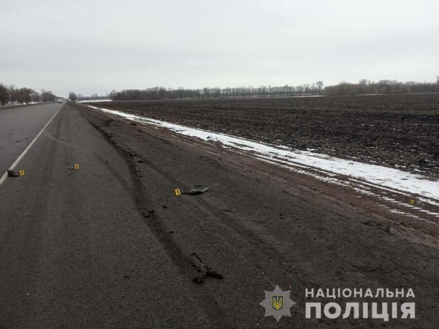 Сбили мужчину на трассе в Днепропетровской области (3)