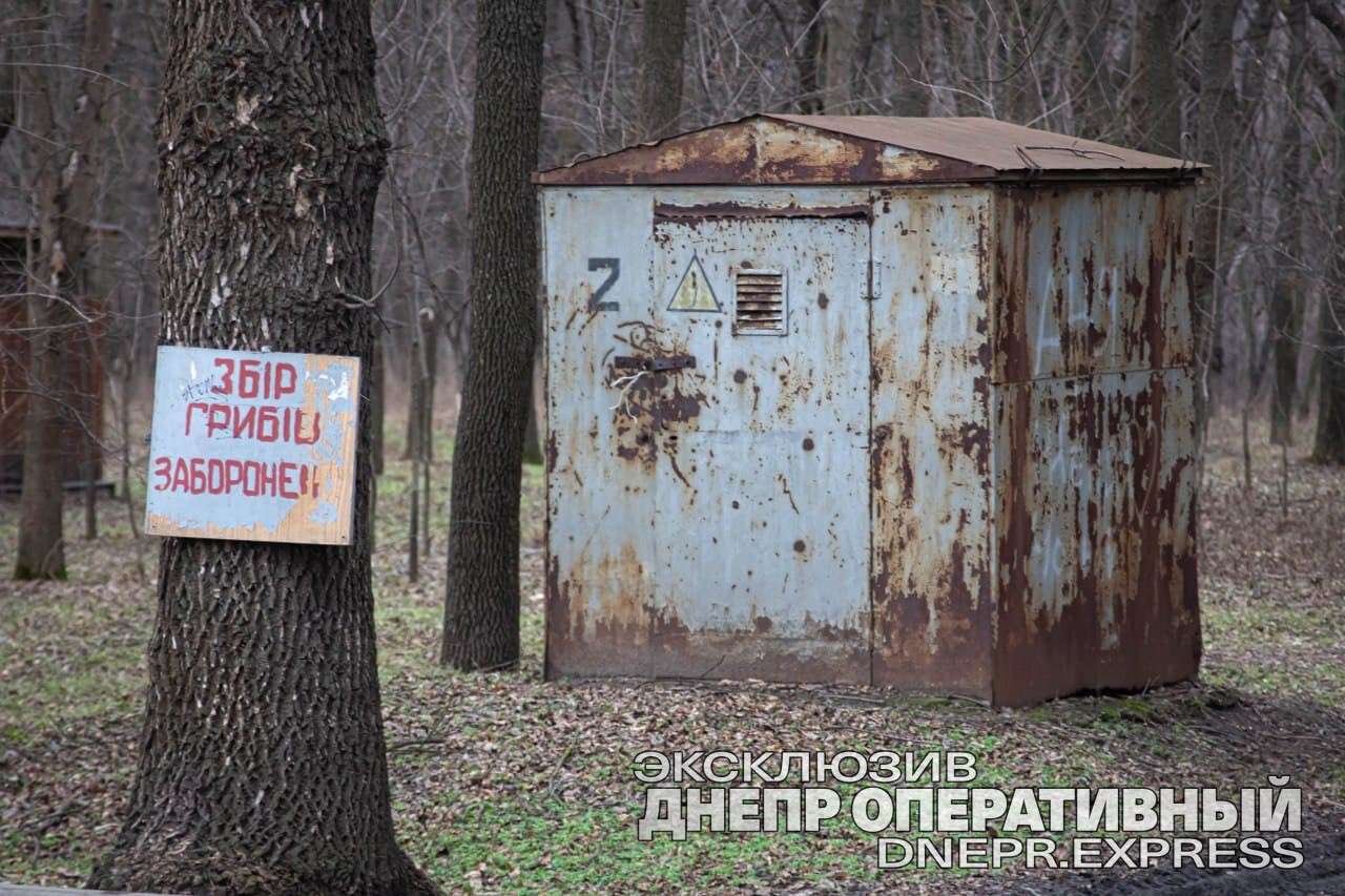 сбор грибов запрещен