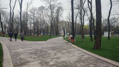 Парк им. Писаржевского