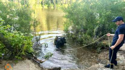 Водолазы ГСЧС